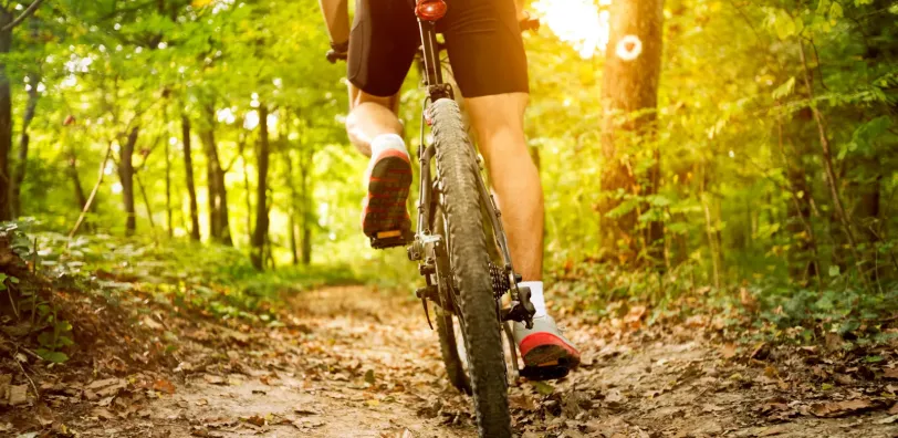 VTT-route Langs de Megalieten 27 km - Image