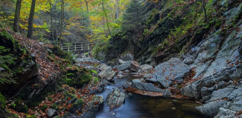 Wandelen langs de Ninglinspo - Image