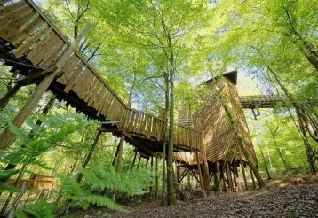 Parc Chlorophylle midden in het Ardense bos img